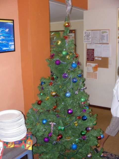 Weihnachtsbaum!