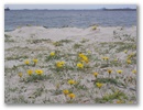 Weils nicht so viel zu sehen gibt noch ein Foto vom Strand, bevor es weiter geht!