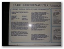 Die letze Nacht verbringen wir am Lake Leschenaultia, dicht bei Perth!