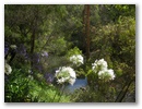 Schoene Natur gibt es hier auch!