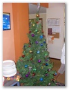 Weihnachtsbaum!