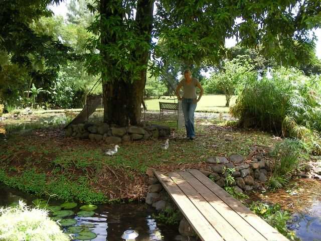 Sabine hat den Gartenteich entdeckt. Und die Enten haben sie entdeckt.