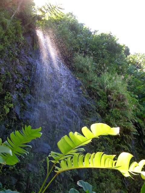 Schon sind wir am naechsten Wasserfall.