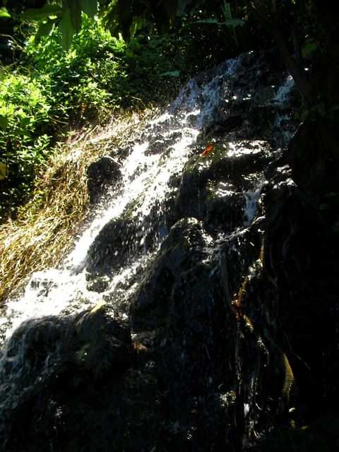 Ein Blick zurueck und wir bekommen den naechsten Wasserfall zu sehen.