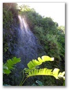 Schon sind wir am naechsten Wasserfall.
