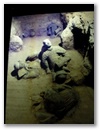Terracotta Armee