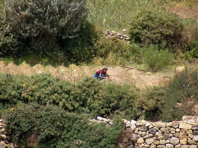 Landarbeit abseits der Touristenpfade.