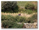 Landarbeit abseits der Touristenpfade.