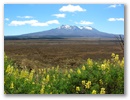 Vulkan Mt. Ruapehu vom Lookaout am Highway 1