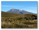 Los gehts an Mt Ruapehu vorbei.