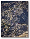 Und den Berg nach oben in der menschlichen Ameisenstrasse.