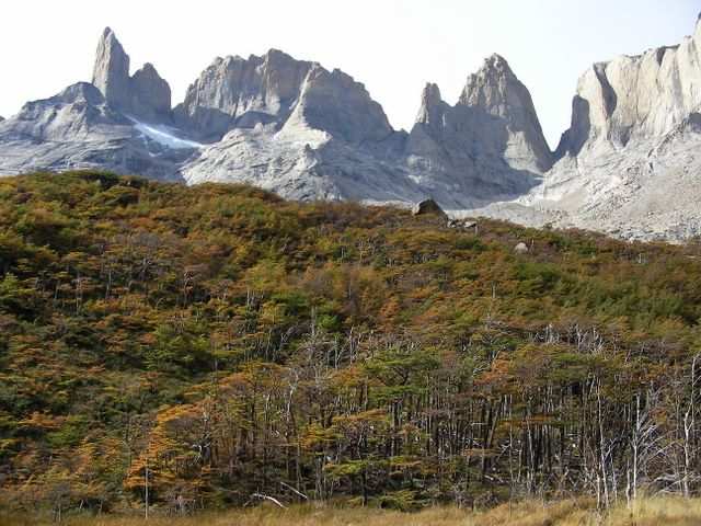 und natuerlich den “Torres”.