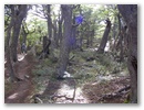 Weiter gehts durch den Wald.